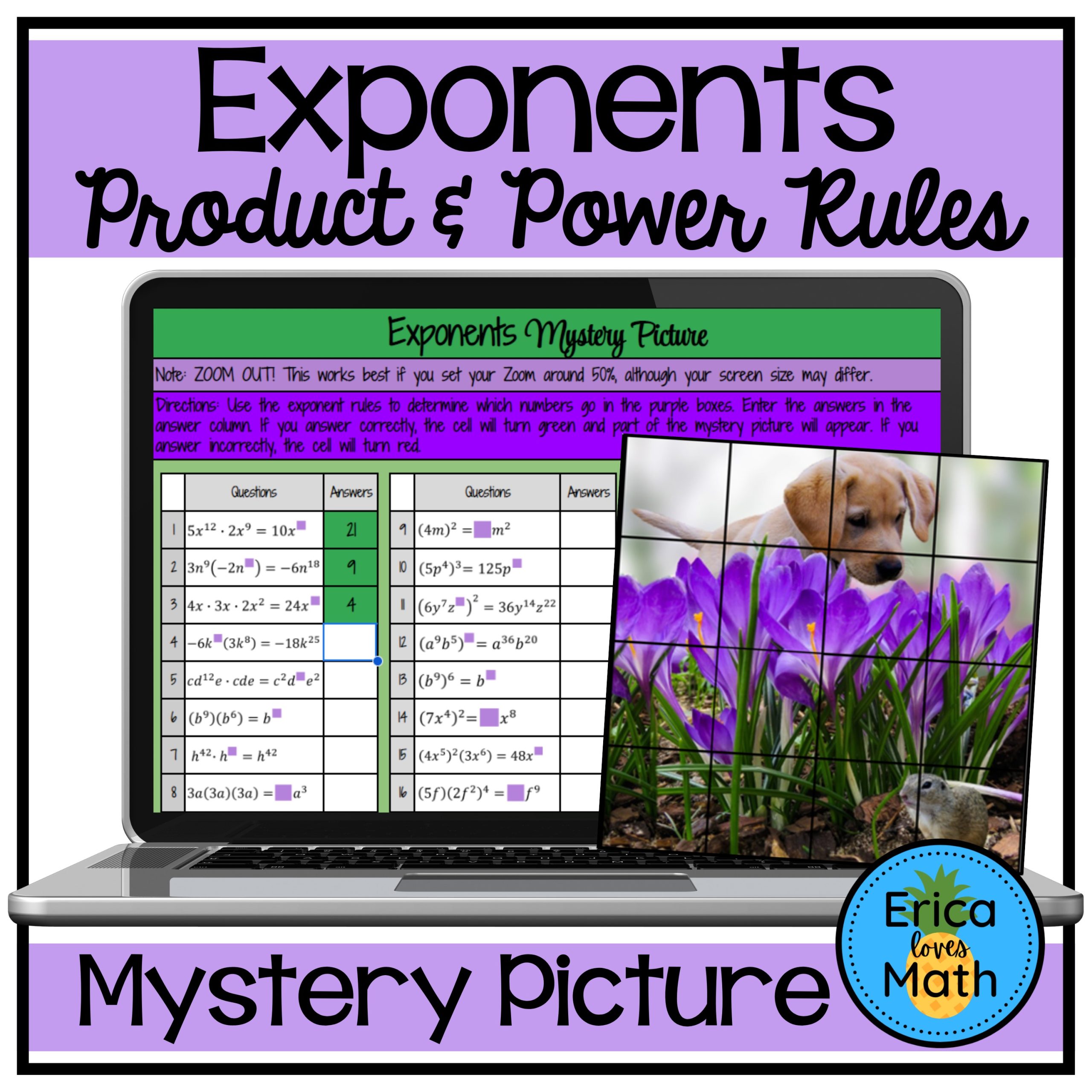 Properties of Exponents Digital Activity | Mystery Picture