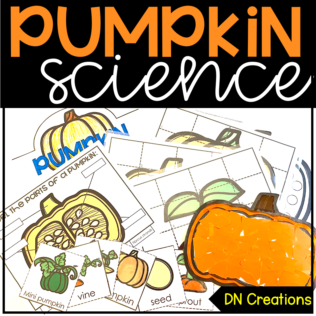 Pumpkin Lifecycle Activities | Preschool Pumpkin Unit