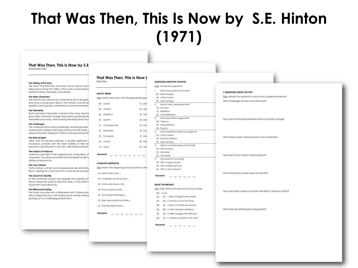 That Was Then, This Is Now by  S.E. Hinton (1971)