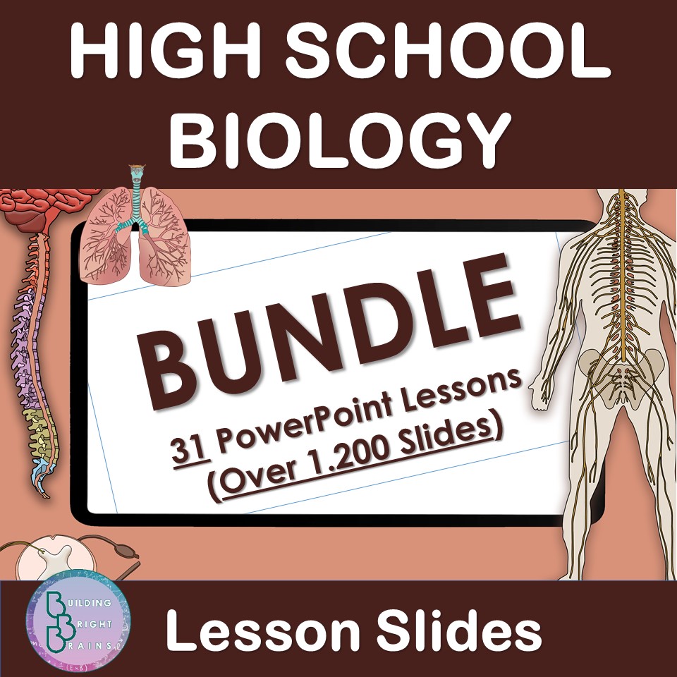 High School Biology Bundle | PowerPoint Lesson Slides | Respiration Digestion