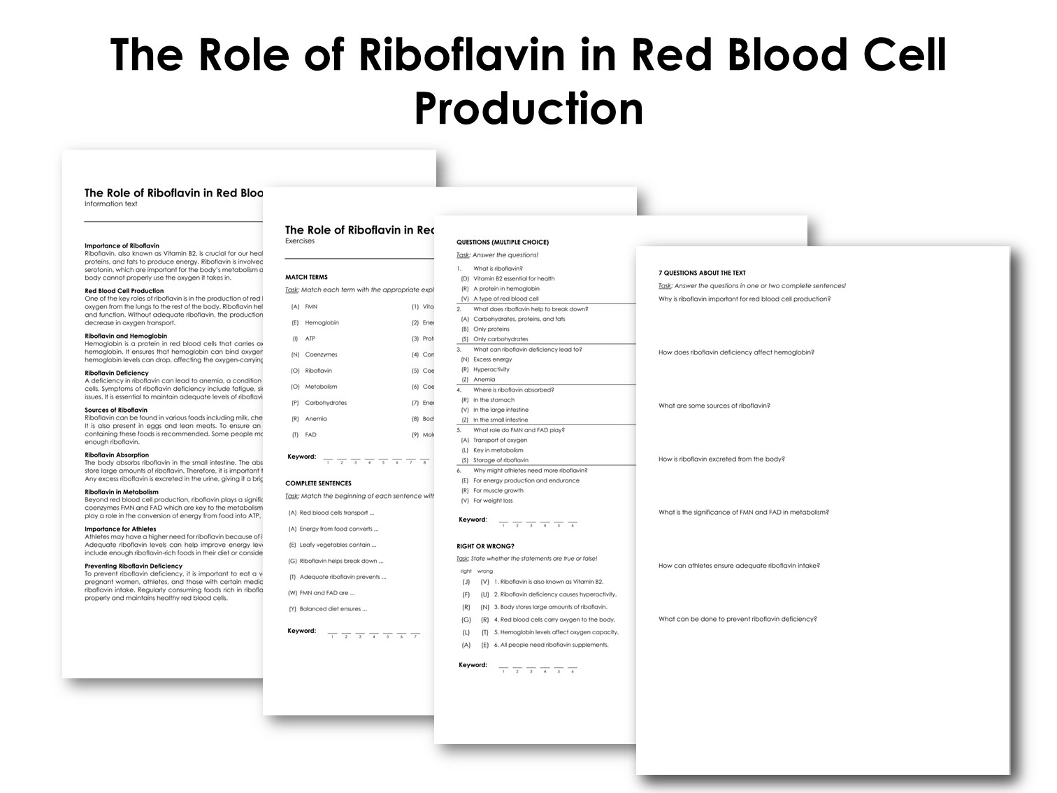 The Role of Riboflavin in Red Blood Cell Production