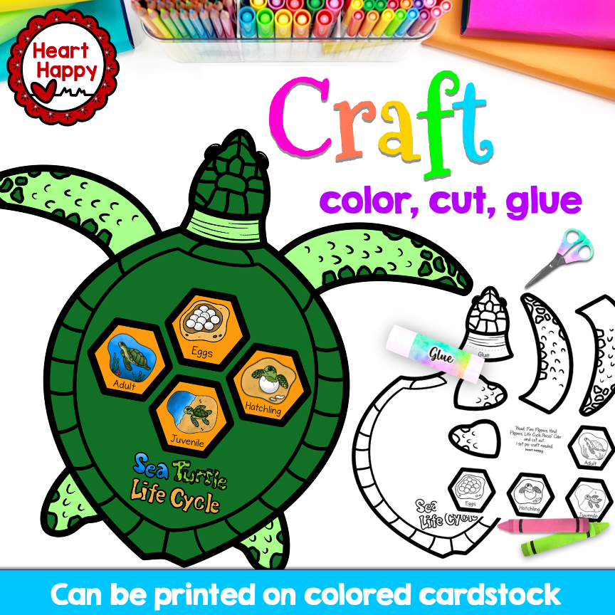 Sea Turtle Life Cycle Craft | Ocean | Summer