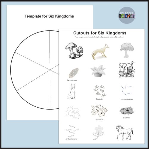Six Kingdoms of Life Activity Worksheets and Instructional Resources ...