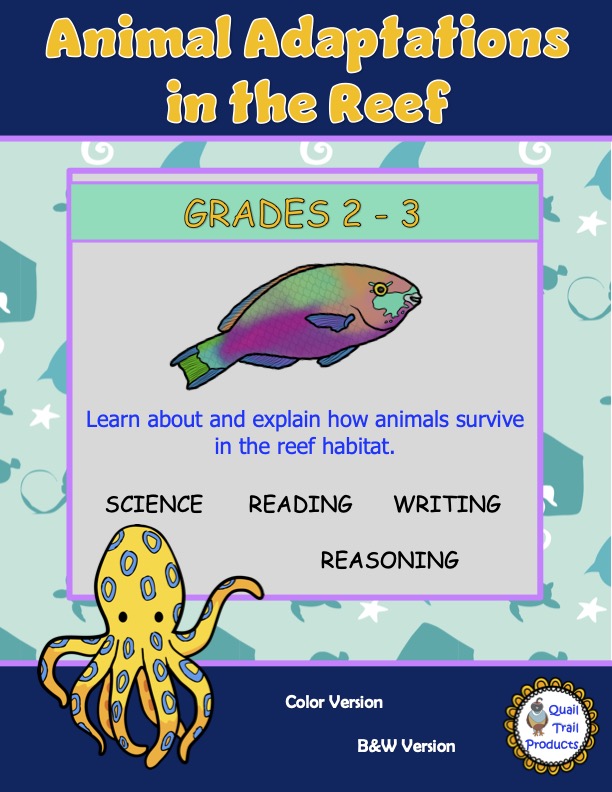 Reef Animal Adaptations Worksheets