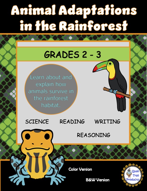 Rainforest Animal Adaptations Worksheets