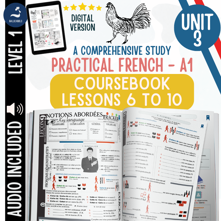 Beginner FRENCH Workbook Adjectifs Démonstratifs possessifs objets pluriel