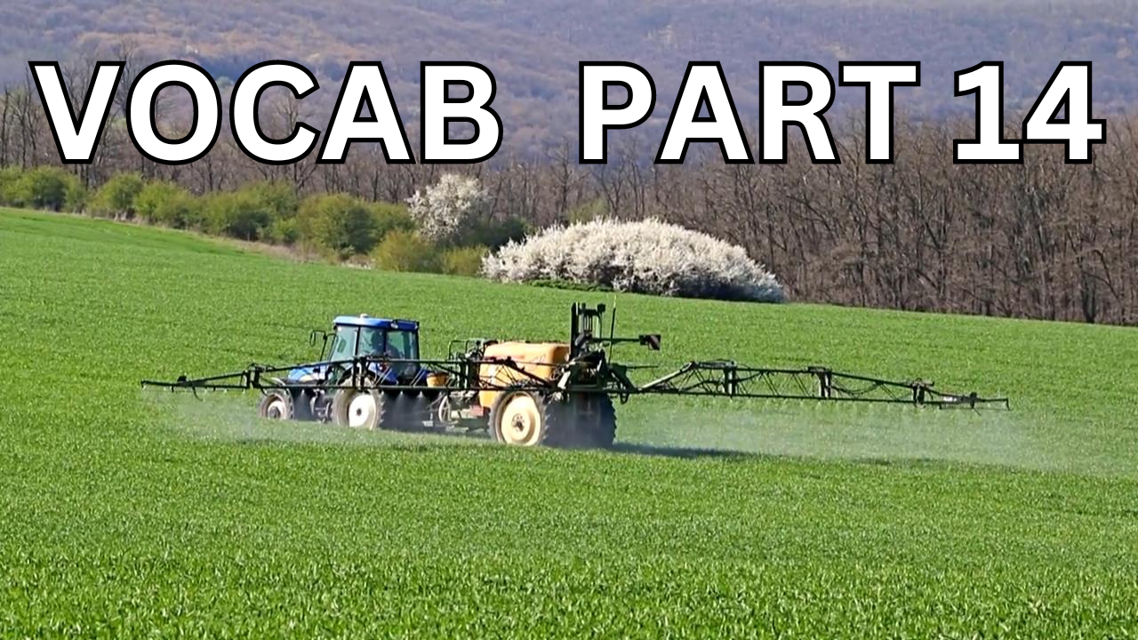 Vocabulary Builder Part 14 Video sheet, Google Forms, Canvas & more V2