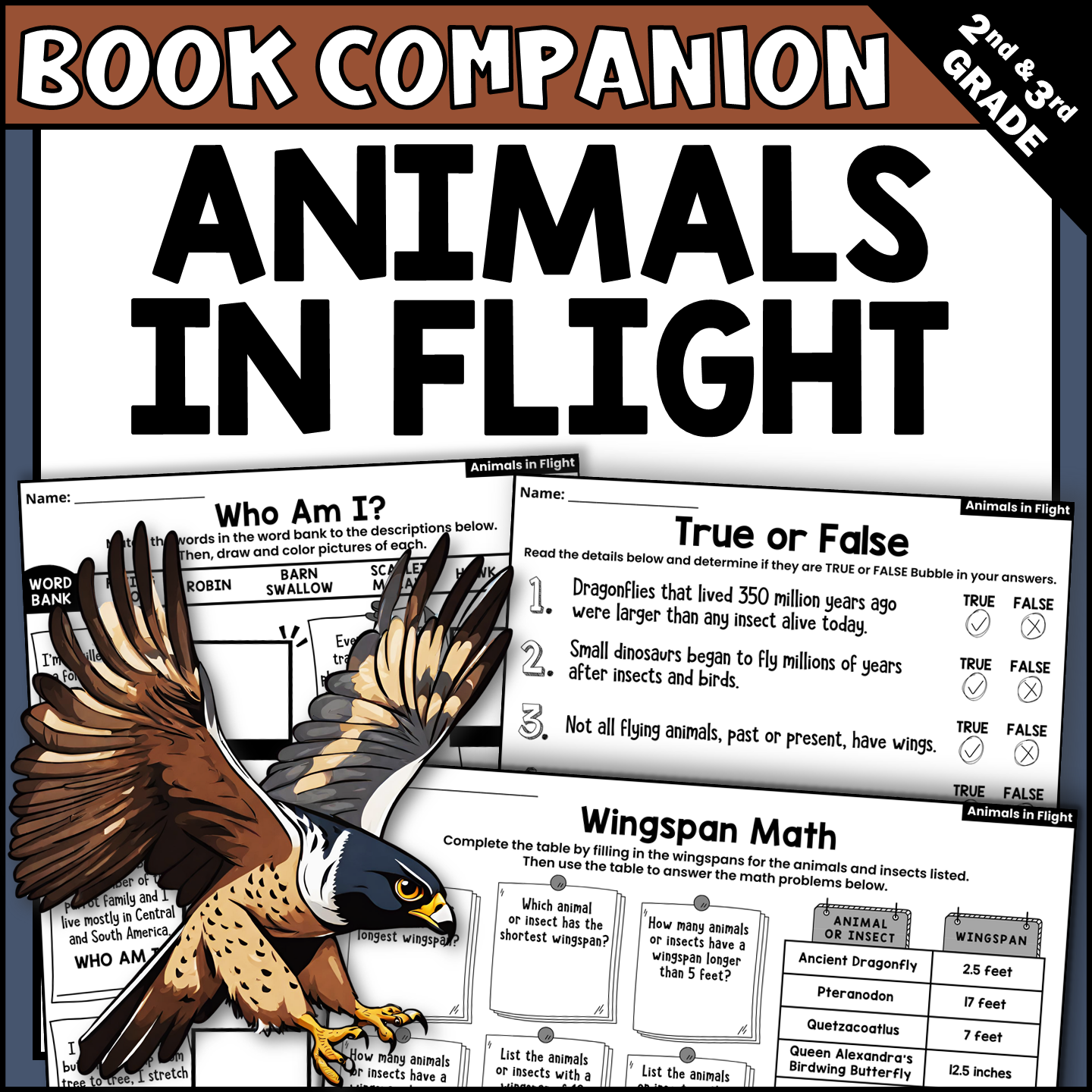 Animals in Flight by Steve Jenkins Interactive Read-Aloud Activities