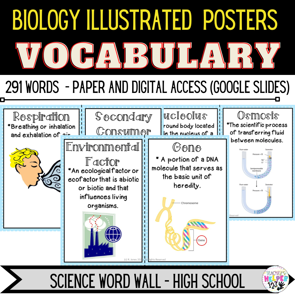 3rd Grade BUNDLE All Math Units | Virtual | Vocab | Anchor Charts ...