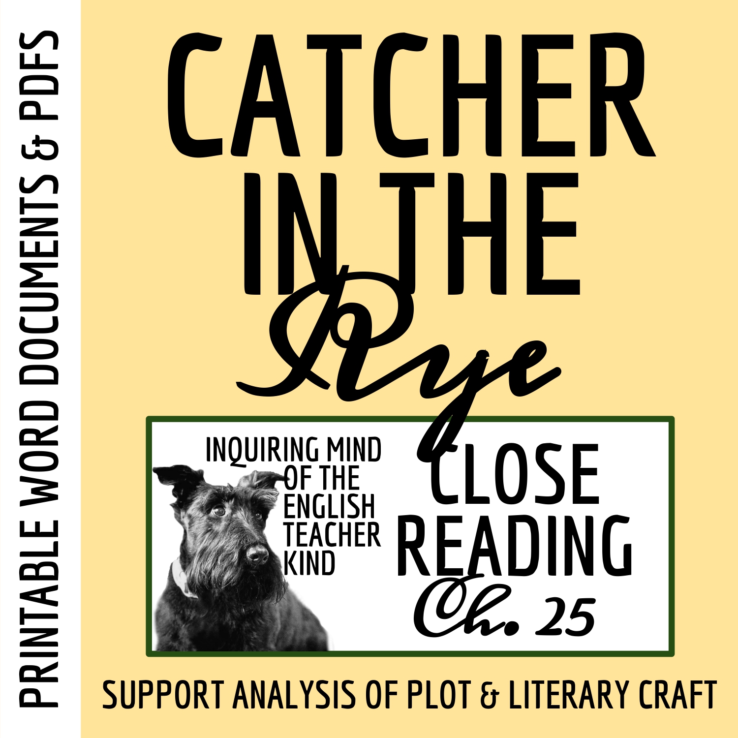 Catcher in the Rye Chapter 25 Close Reading Analysis Worksheet
