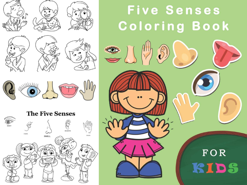 Five Sense Coloring Pages – Unique collection