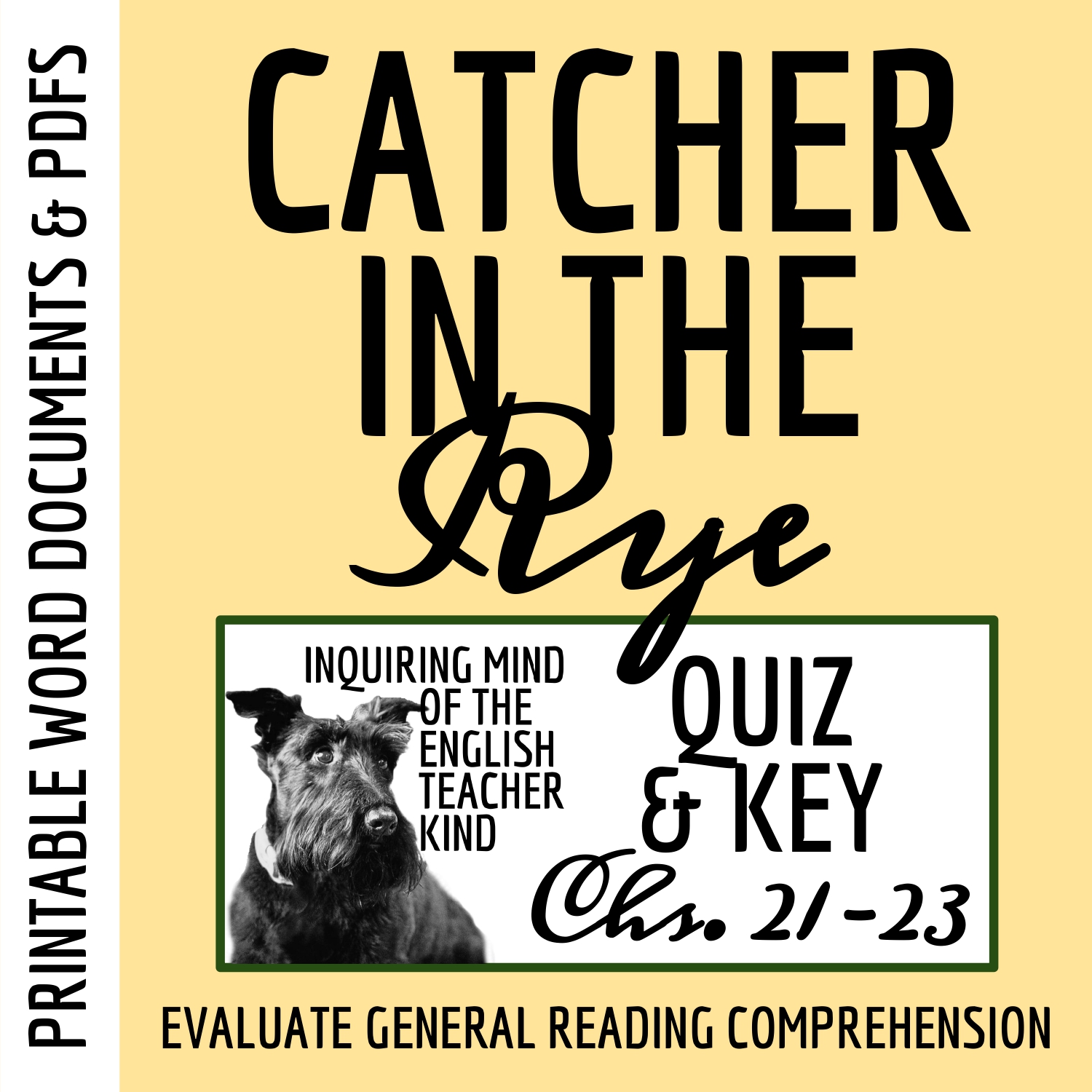 Catcher in the Rye Chapters 21 through 23 Quiz and Answer Key