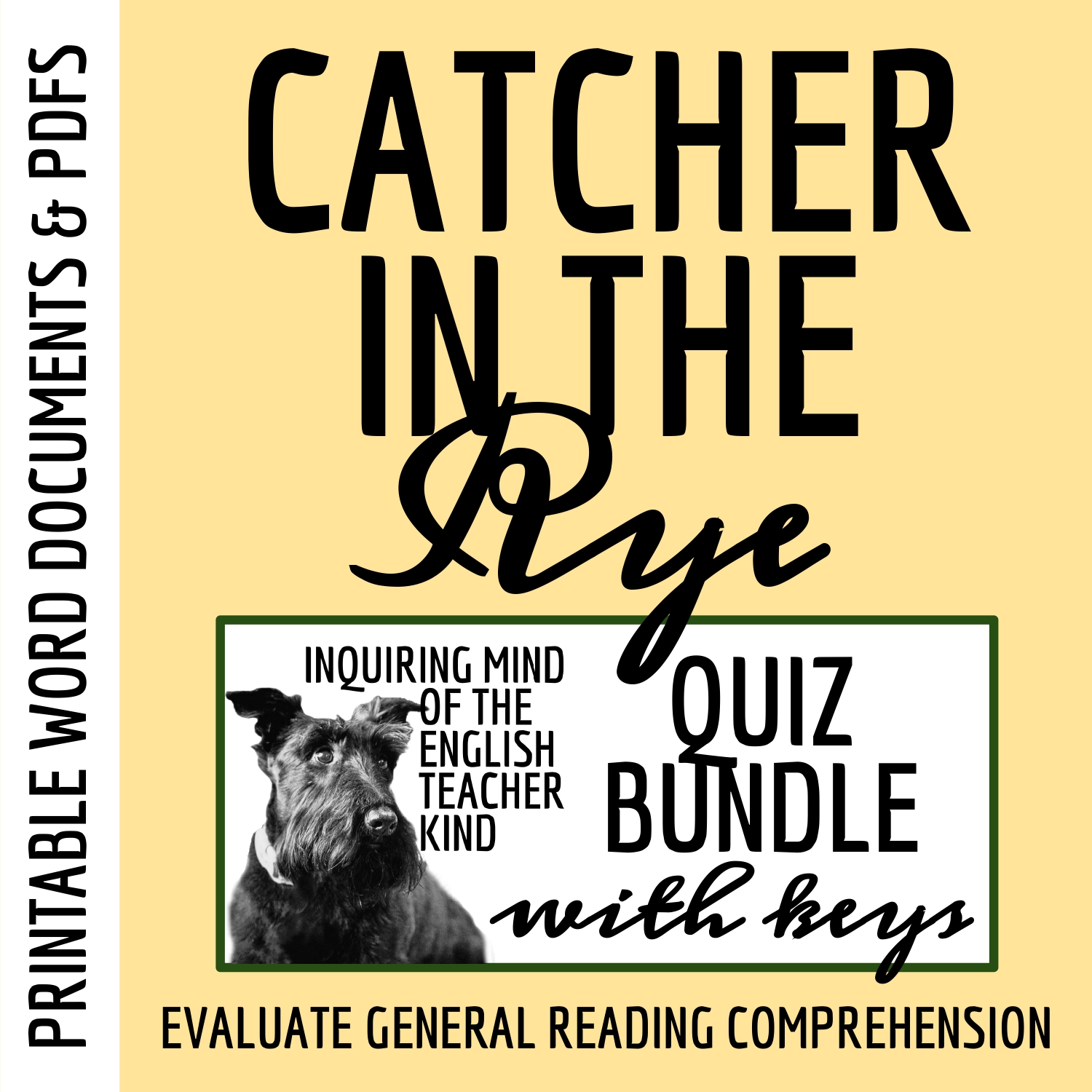 Catcher in the Rye Quiz and Answer Key Bundle for High School