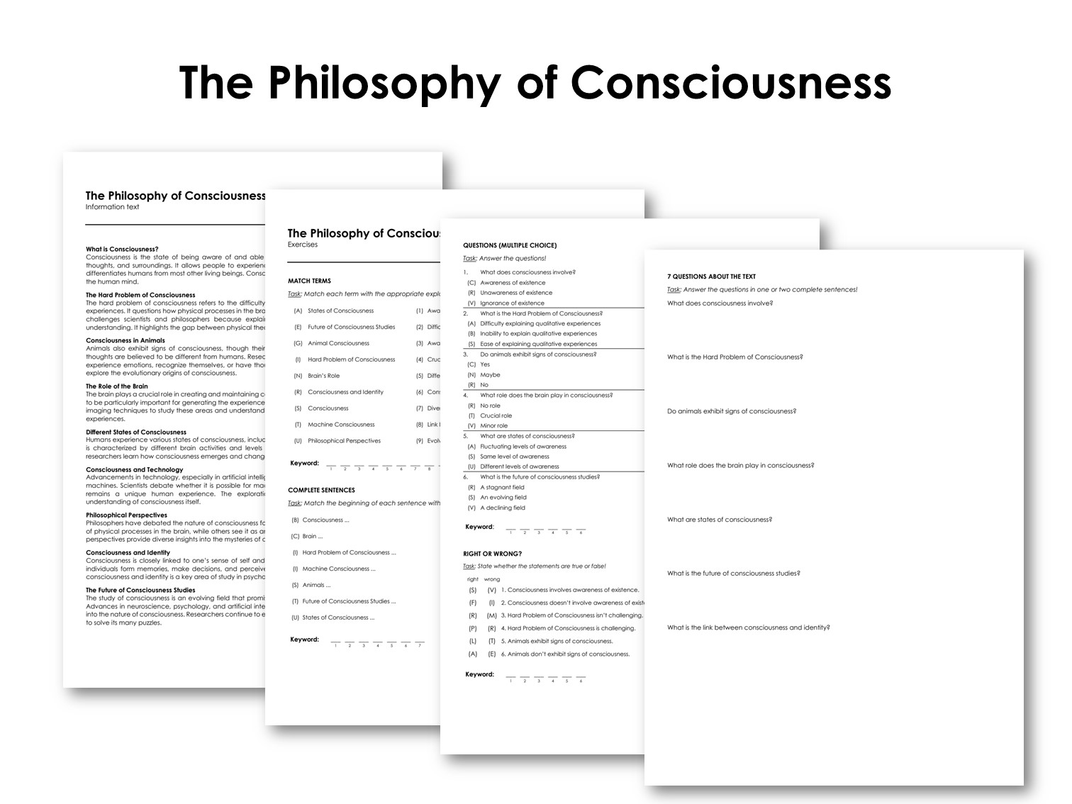 The Philosophy of Consciousness