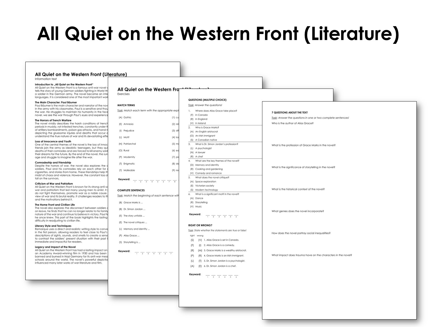 All Quiet on the Western Front (Literature)