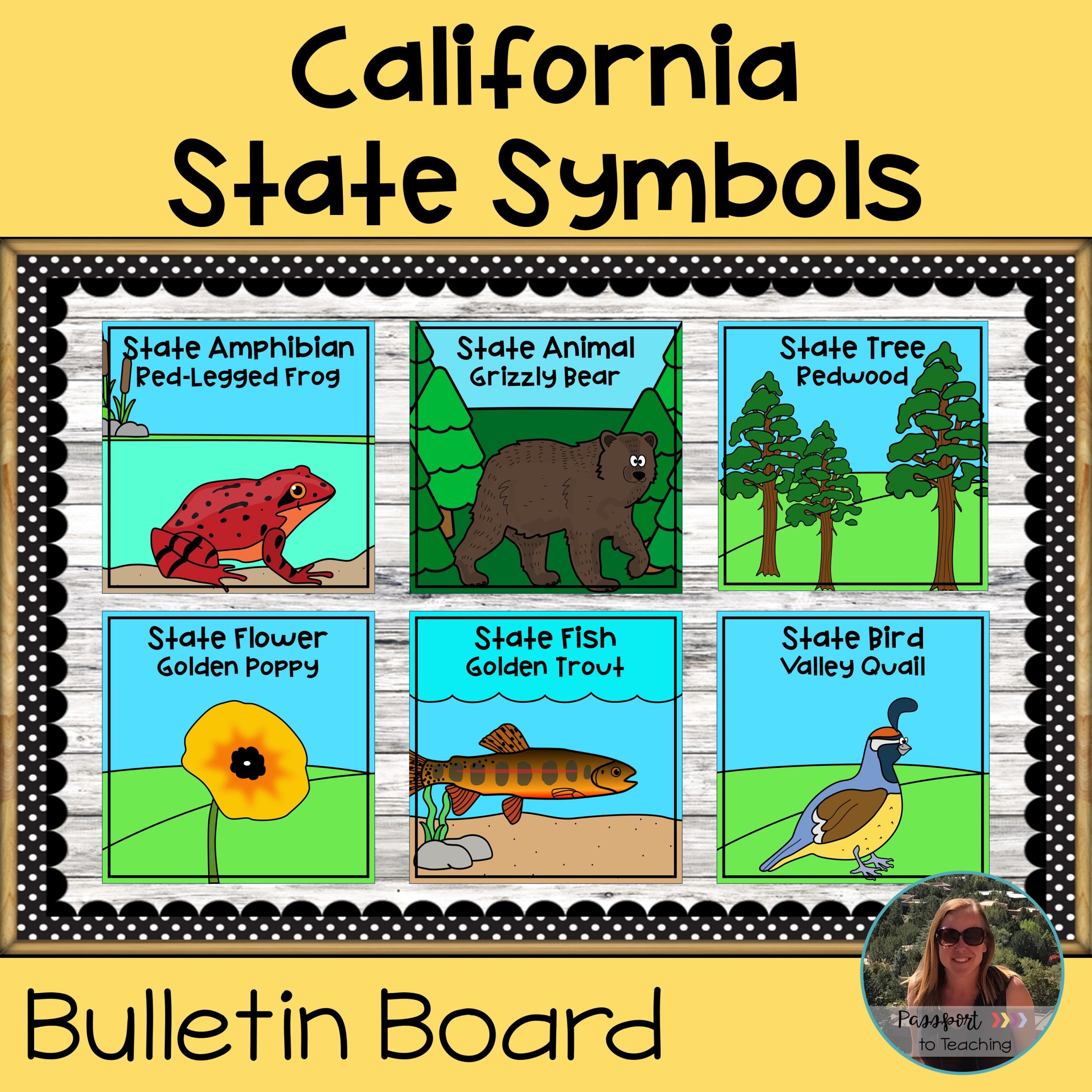 California State Symbols Bulletin Board - California History Posters