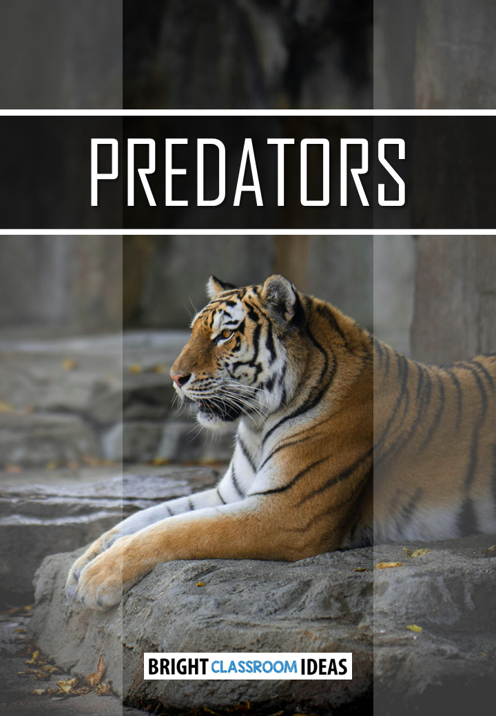 Predators