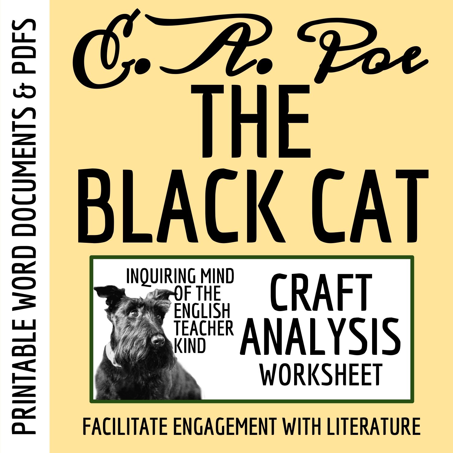 "The Black Cat" by Edgar Allan Poe Literary Craft Analysis Worksheet for High School
