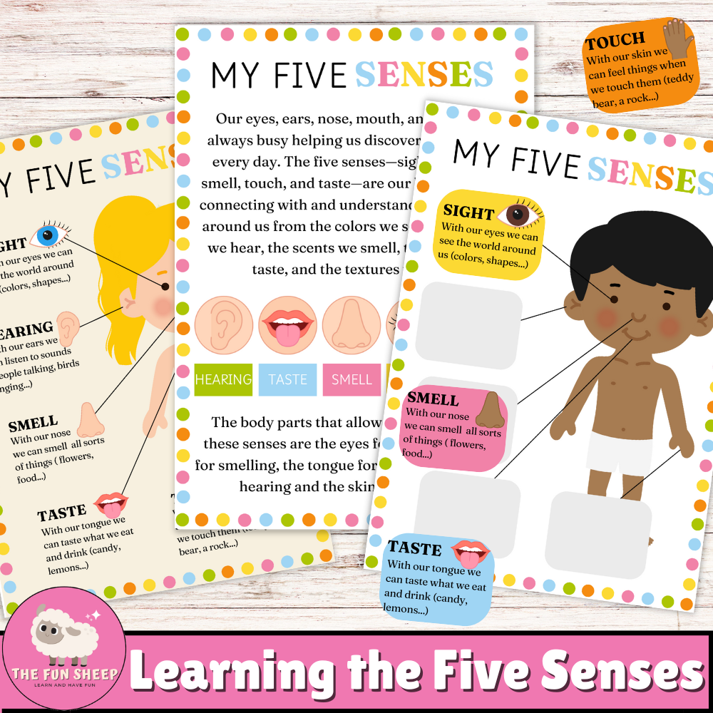 Learning the Five Senses | 5 Senses Matching Activity Preschool Anatomy Learning
