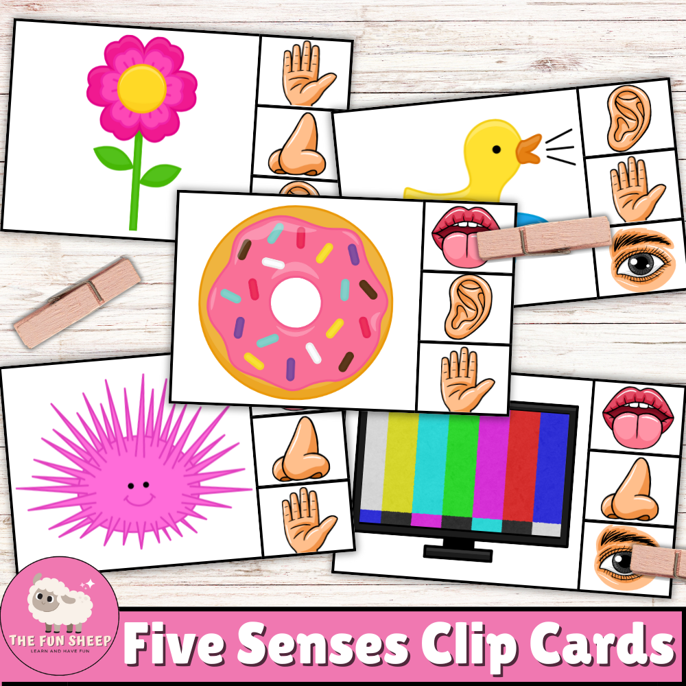 Five Senses Clip Cards | 5 Senses Sorting Activity Kindergarten PreK Learning Game | Made By Teachers Five Senses Clip Cards | 5 Senses Sorting Activity Kindergarten PreK Learning Game | Made By Teachers