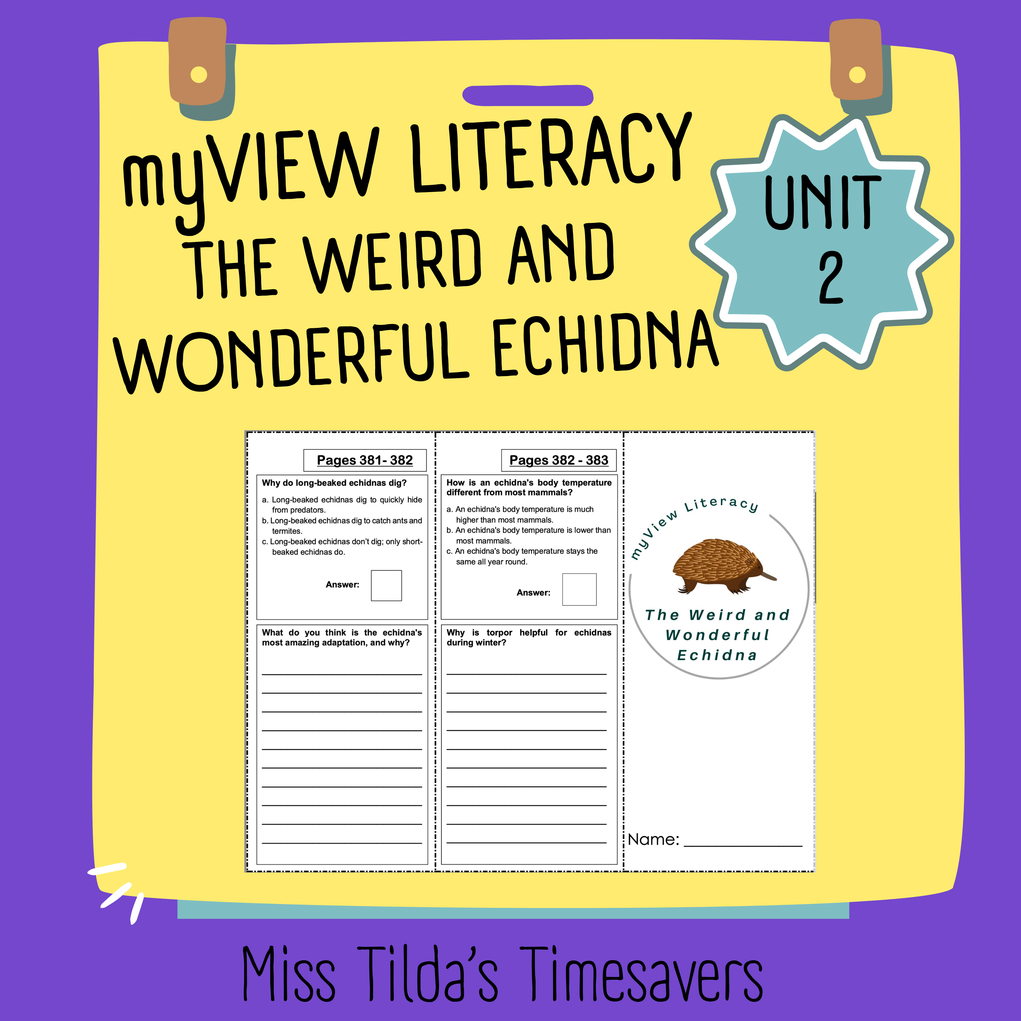 The Dawn Wall - Grade 6 HMH into Reading - Made By Teachers