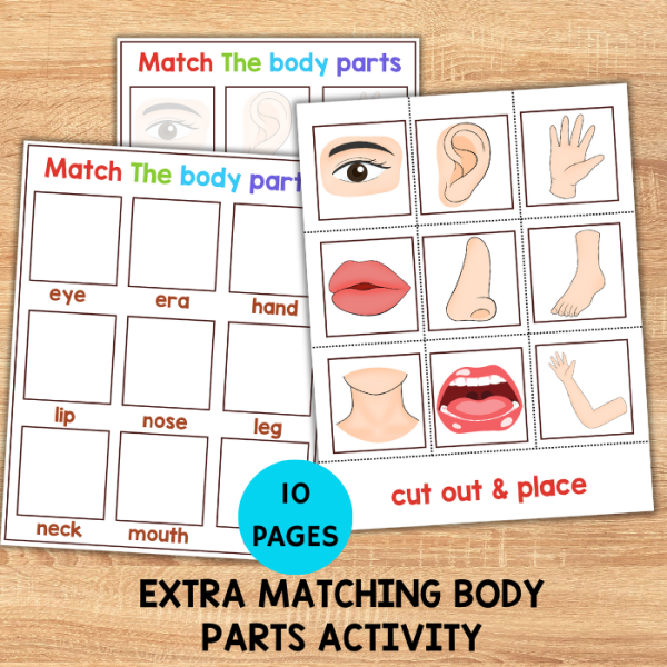body parts matching game bundle Activity Printable, Toddler Busy Book ...