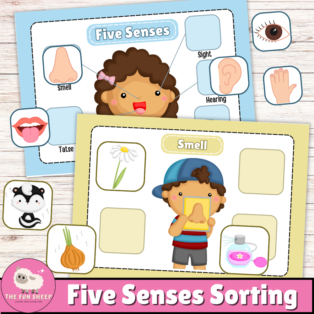 Five Senses Sorting | 5 Senses Matching Educational Game Learning Activity