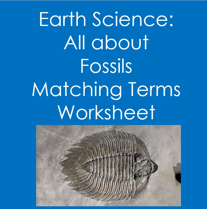 Earth Science: All about Fossils Matching Terms Worksheet