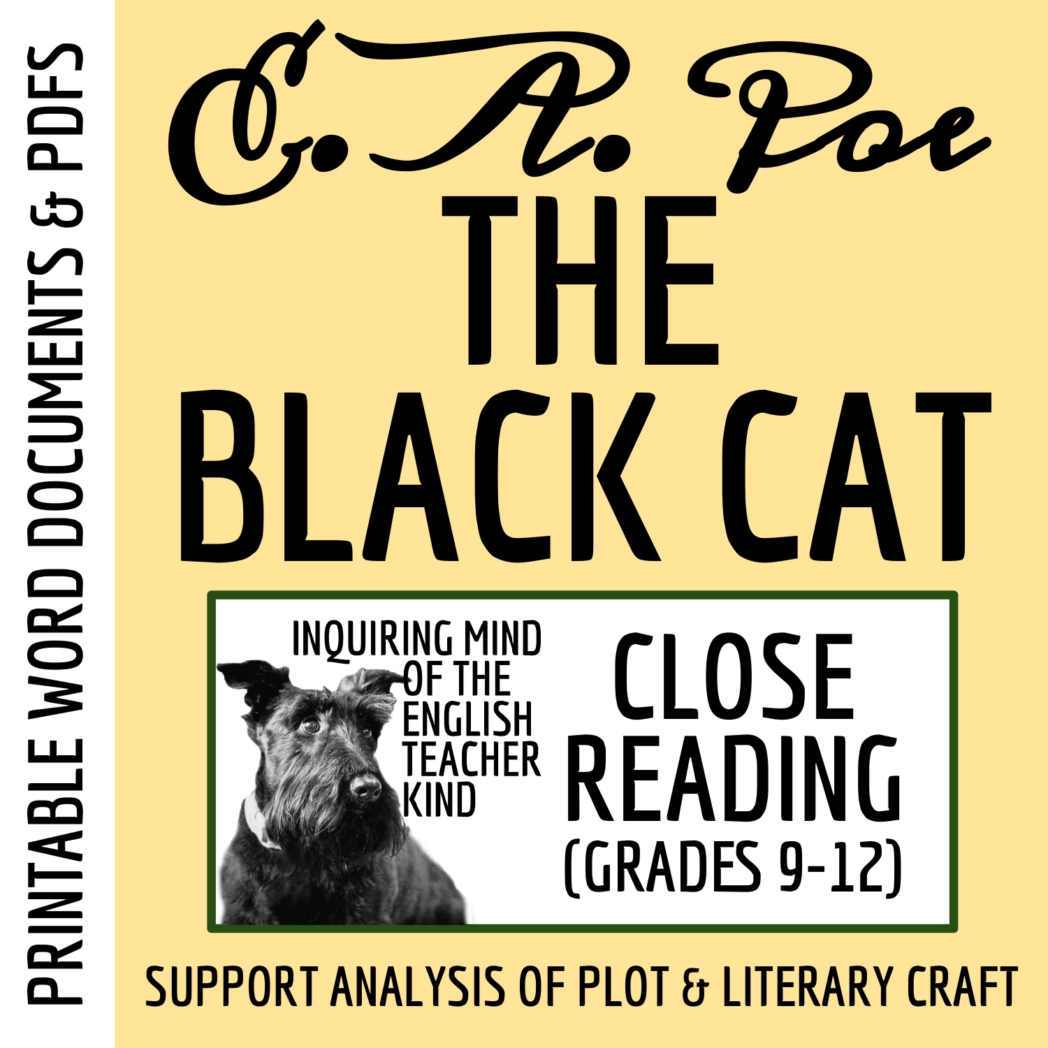 "The Black Cat" by Edgar Allan Poe Close Reading Analysis Worksheet