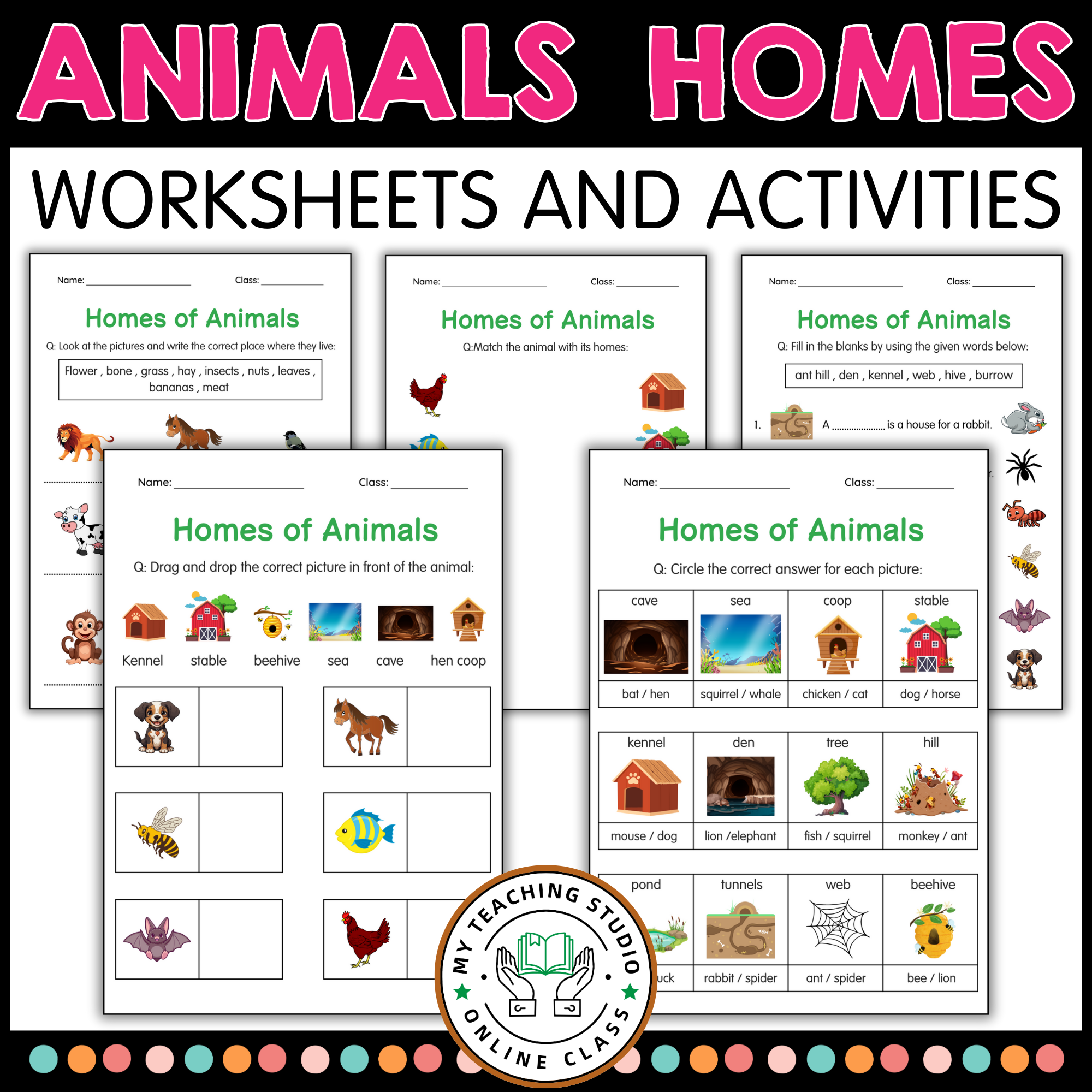 Printable Animals and Their Homes Activity Worksheets for Grade 1, 2, 3