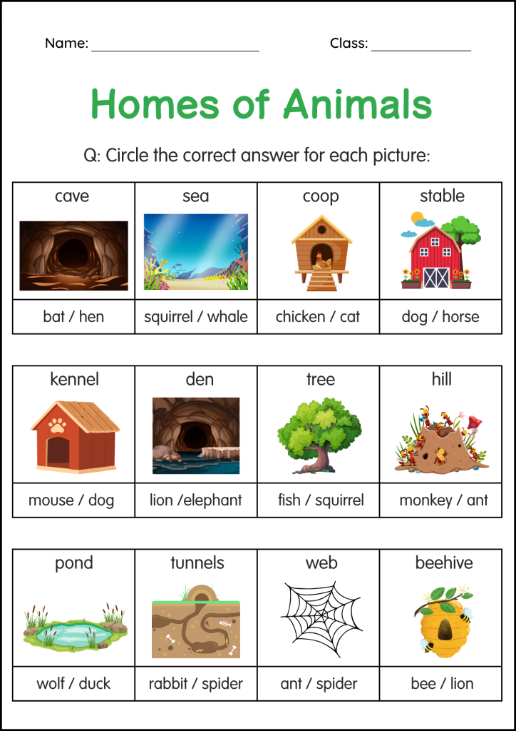 Printable Animals and Their Homes Activity Worksheets for Grade 1, 2, 3 ...