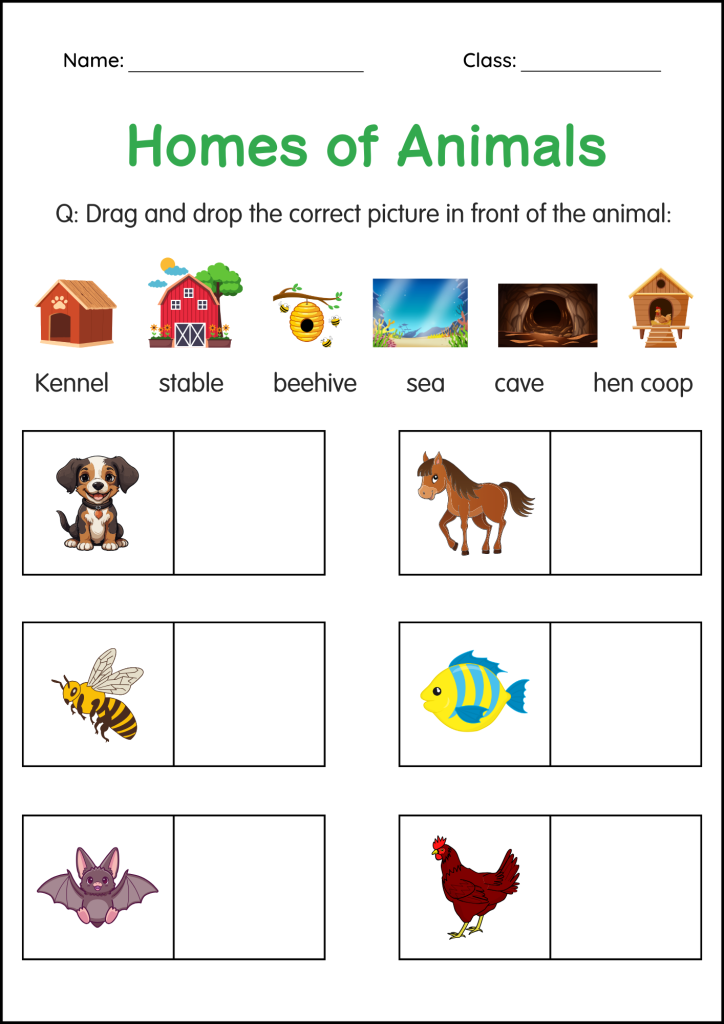 Printable Animals and Their Homes Activity Worksheets for Grade 1, 2, 3 ...