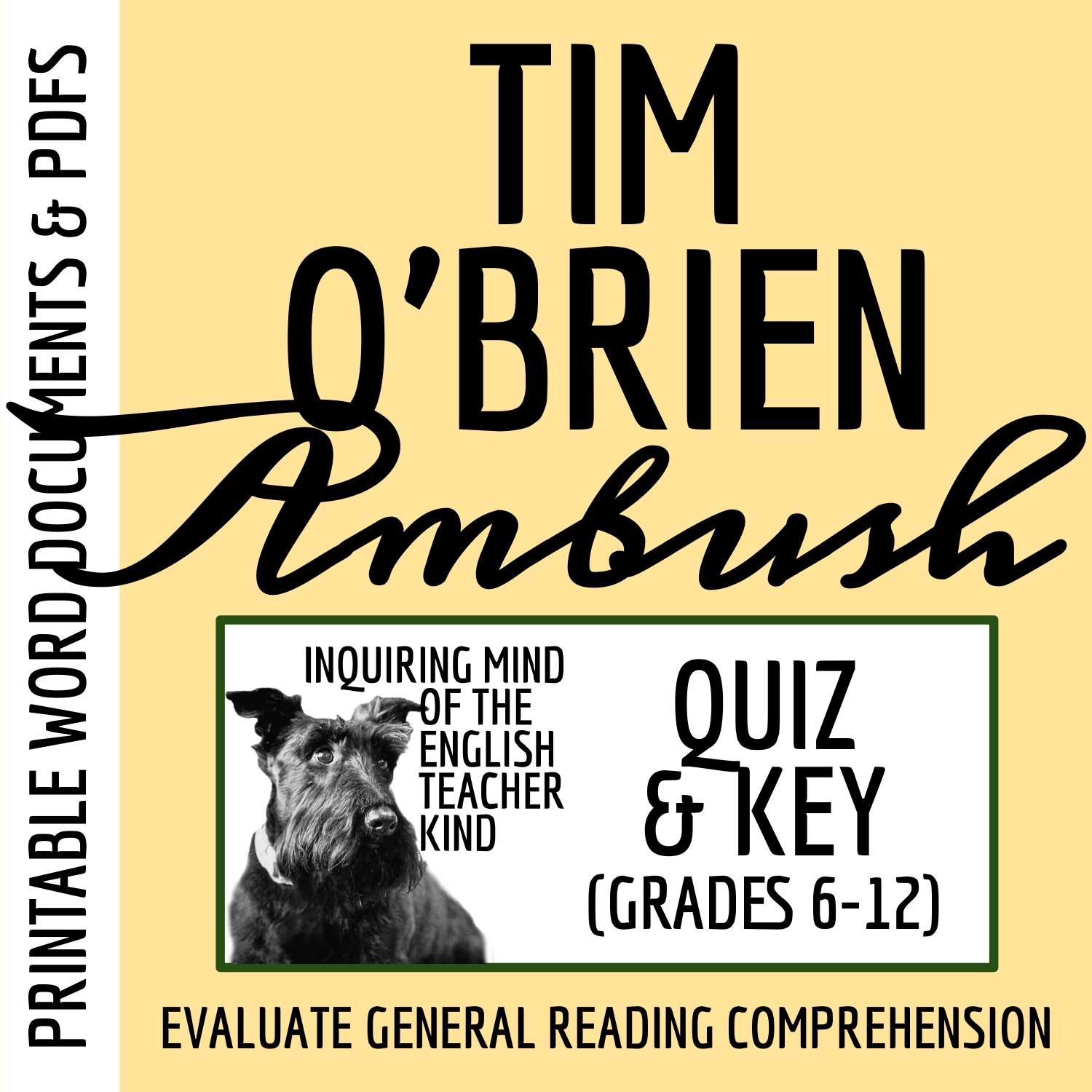 "Ambush" by Tim O'Brien Quiz and Answer Key (Vietnam War Short Story)