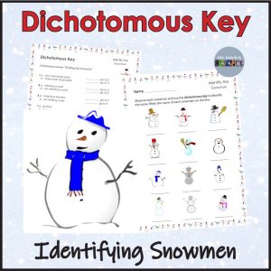 Dichotomous Key Snowman Activities Worksheet Winter Christmas Science