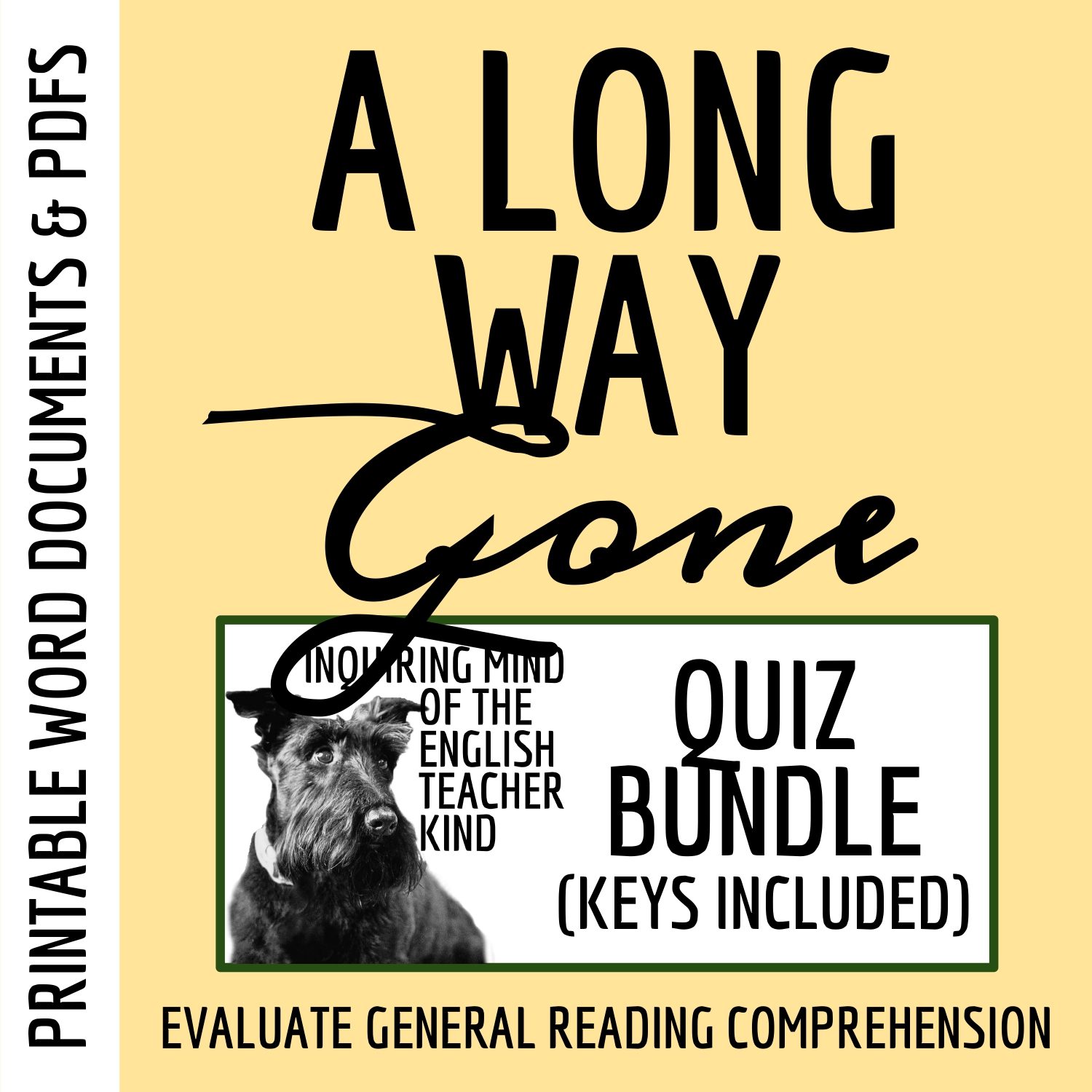 A Long Way Gone by Ishmael Beah Quiz and Answer Key Bundle