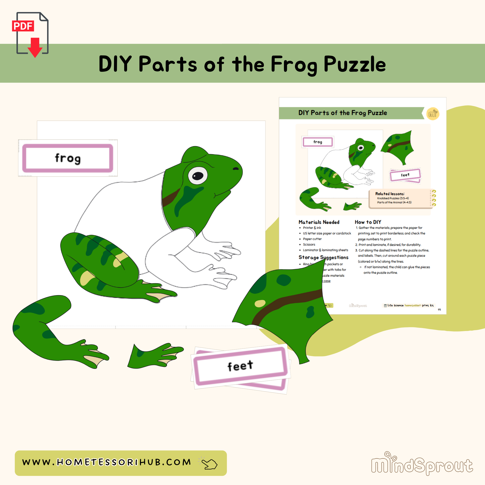 DIY Parts of the Frog Puzzle Zoology Montessori Printable Material