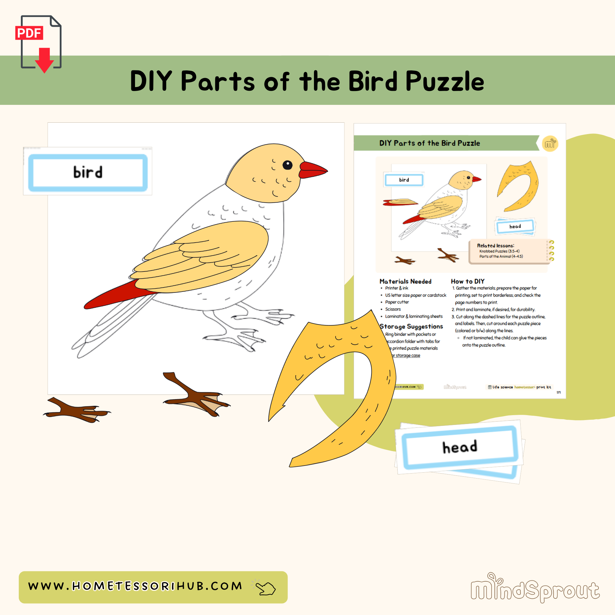 DIY Parts of the Bird Puzzle Zoology Montessori Printable Material