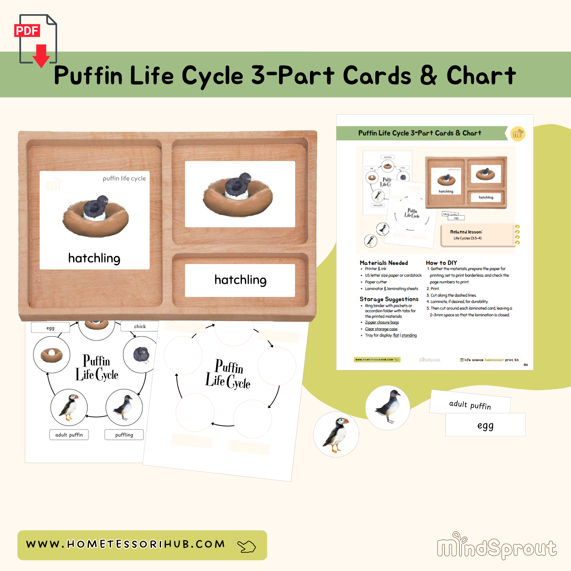Puffin Life Cycle 3-Part Cards & Chart Zoology Montessori Printable Material