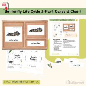 Butterfly Life Cycle 3-Part Cards and Chart Zoology Montessori ...