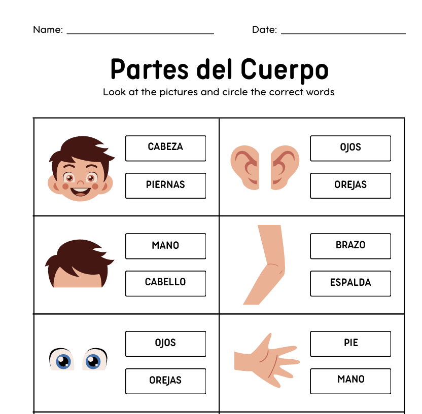 Body Parts and Articles in Spanish
