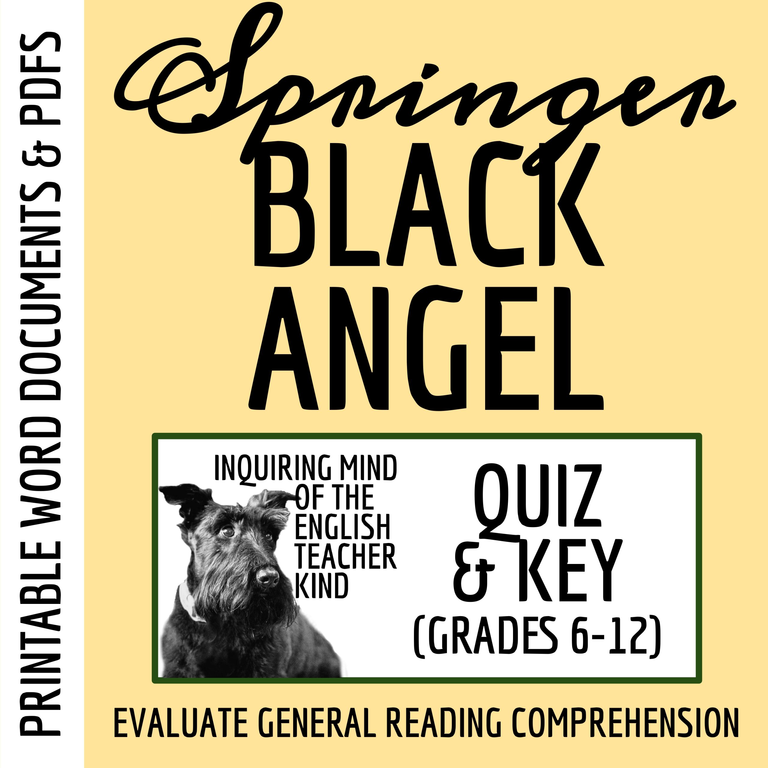 "Black Angel" by Nancy Springer Quiz and Answer Key (Fantasy Short Story)