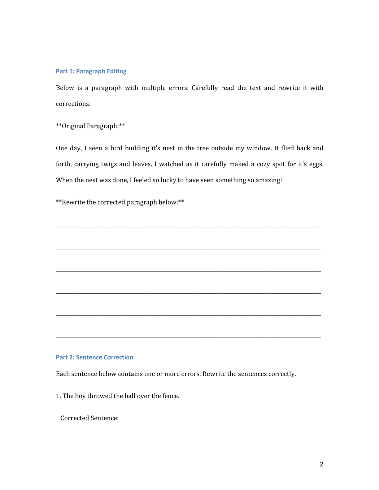 Editing and Proofreading Practice: Worksheet 10