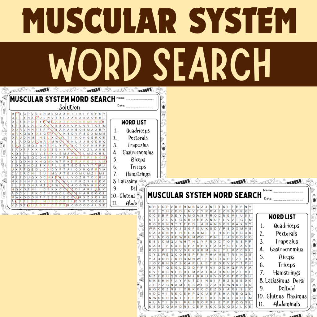 Muscular System Anatomy Activities - Muscle Diagram Labeling, Coloring ...