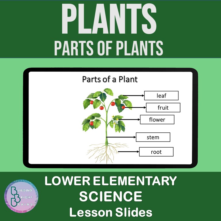 Plants - Parts of Plants | PowerPoint Lesson Slides Lower Elementary Science