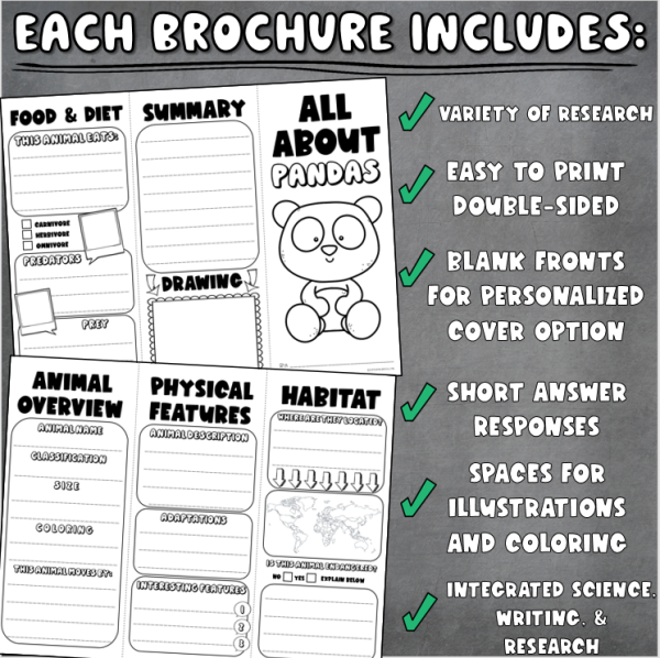 Animal Research Activity Project Brochures BUNDLE - Made By Teachers