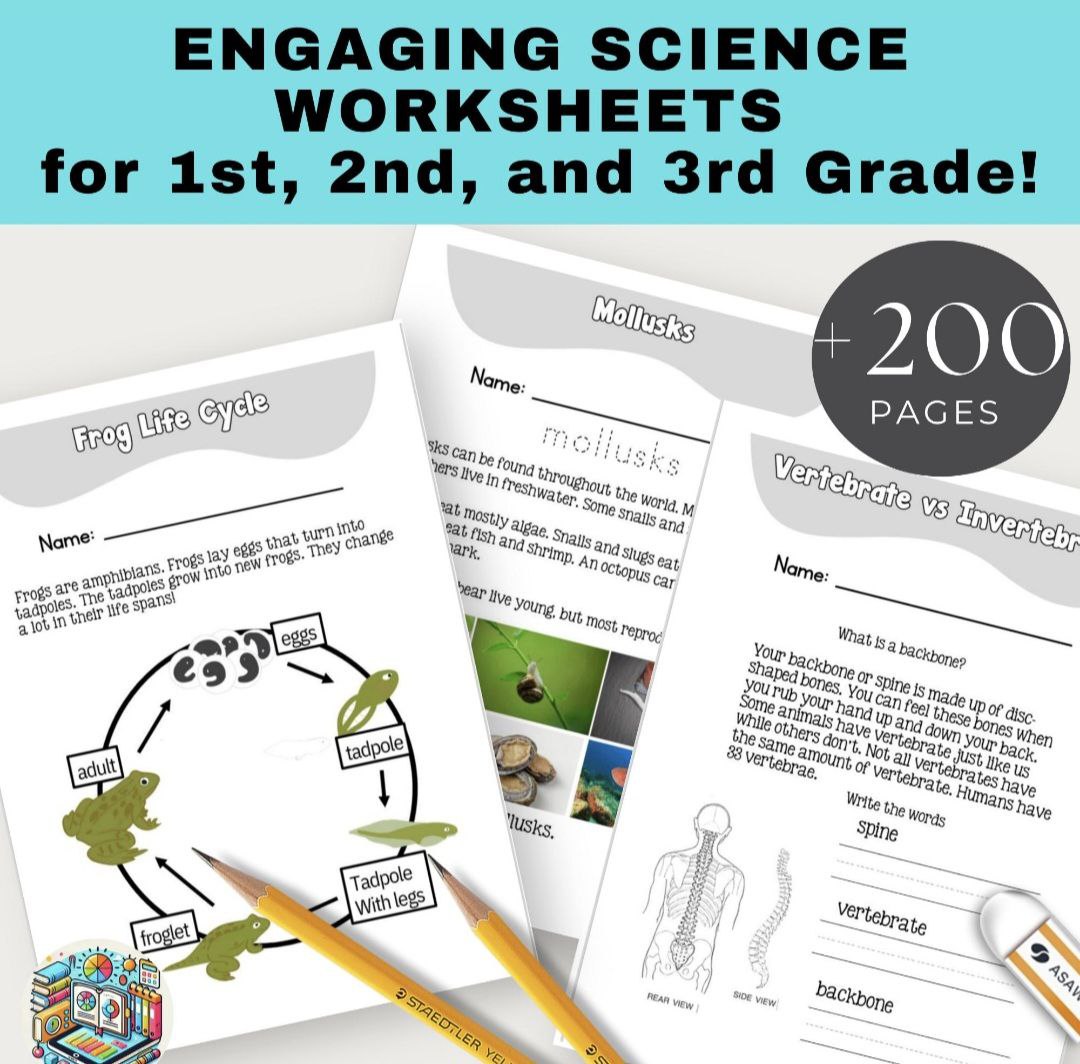 Engaging Science Worksheets for 1st, 2nd, and 3rd Grade!
