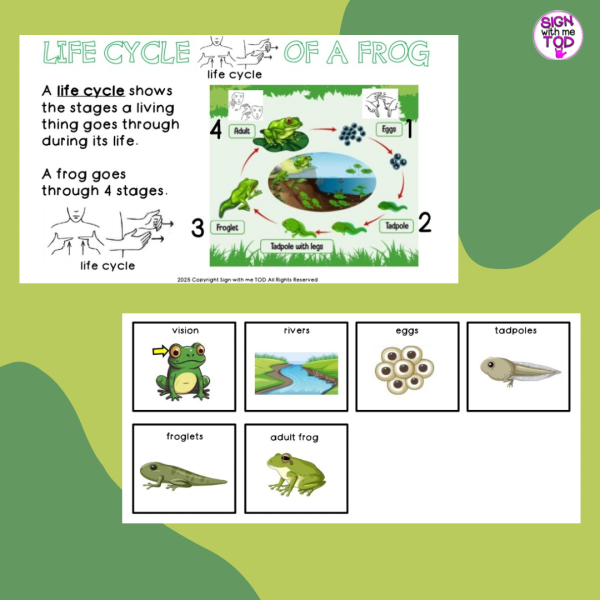 Deaf Education - ASL and English Life Cycle of a Frog Adapted Booklet ...
