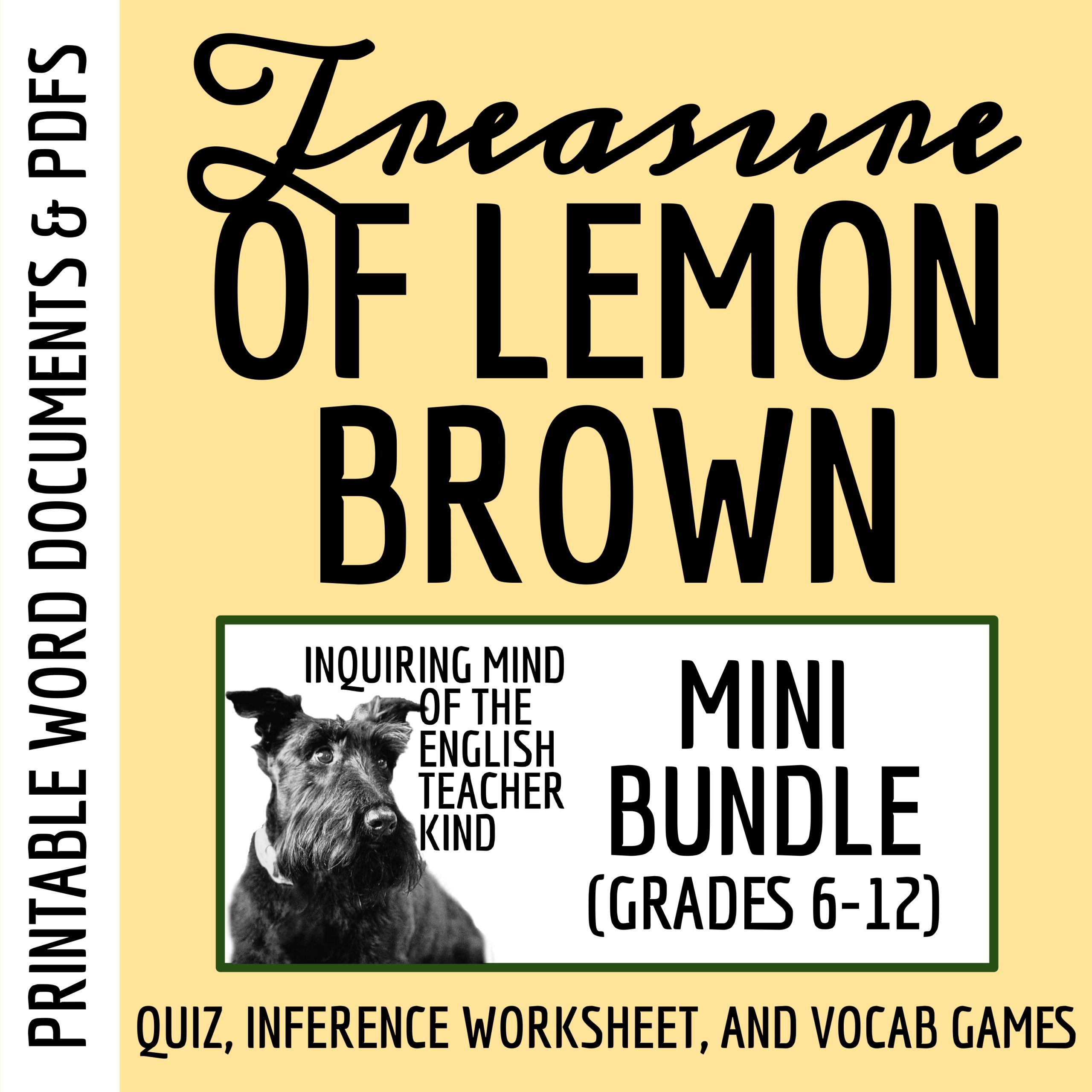 "The Treasure of Lemon Brown" Quiz, Analysis Worksheet, and Vocabulary Games