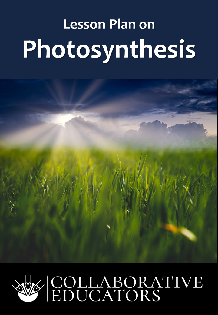 Lesson Plan on Photosynthesis