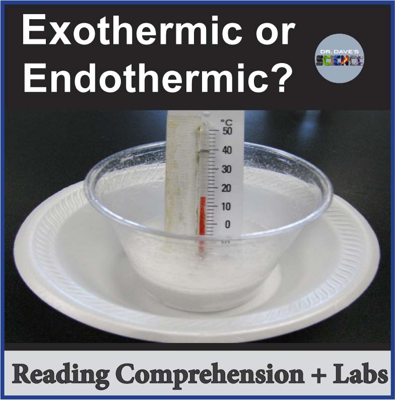 Endothermic and Exothermic Reactions Reading Comprehension Activity Lab